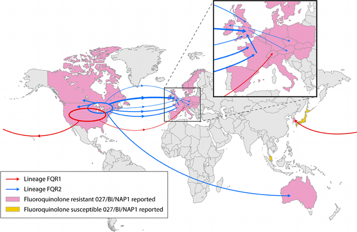 Transcontinental dissemination of epidemic RT027 2