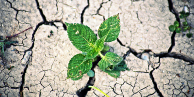 The Lancet Countdown 2024 su clima e cambiamenti climatici: un caldo senza precedenti richiede azioni senza precedenti